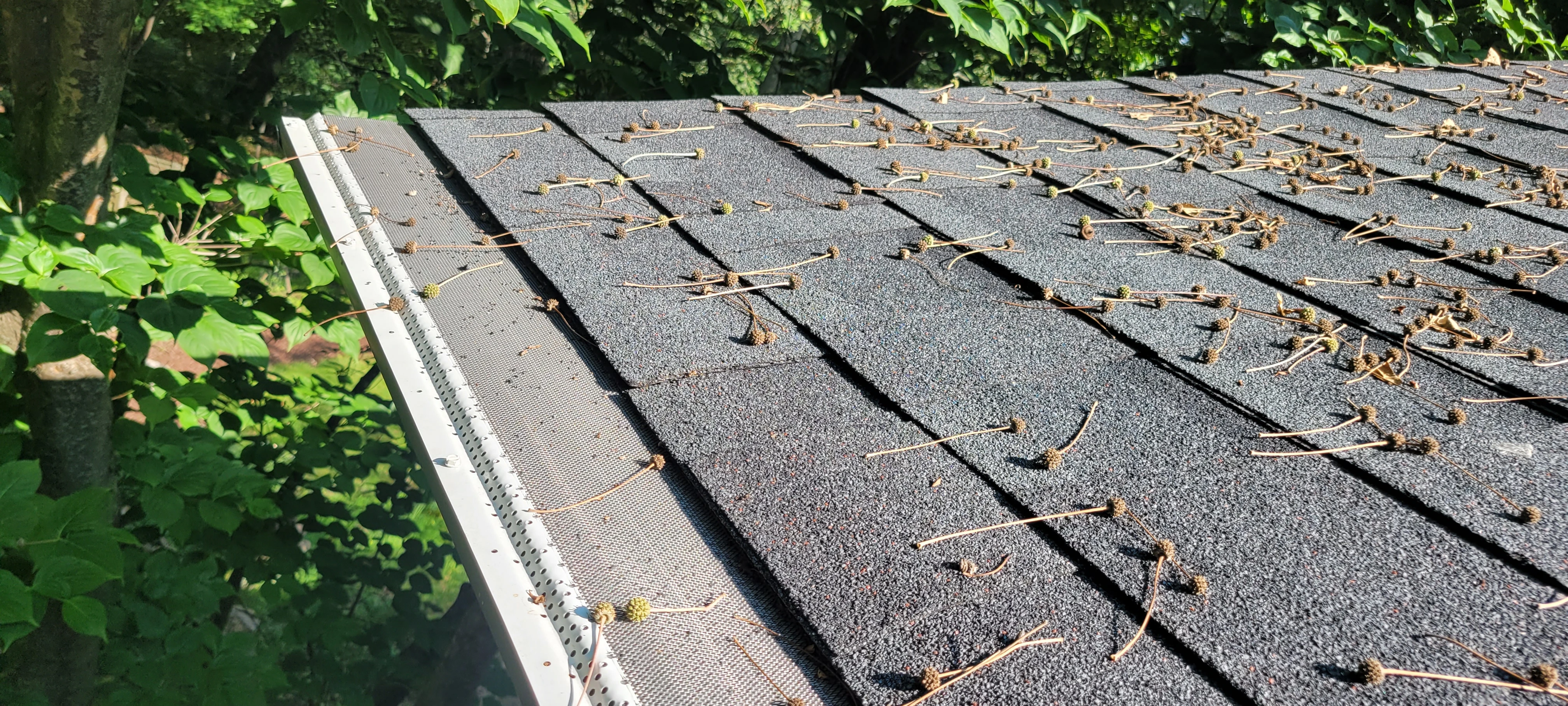 Active Mesh Guard Installation